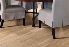 Top 10 PPC Competitors of Vinyl Floor