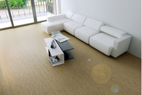 Wooden Pattern WPC LVT SPC for living room 3